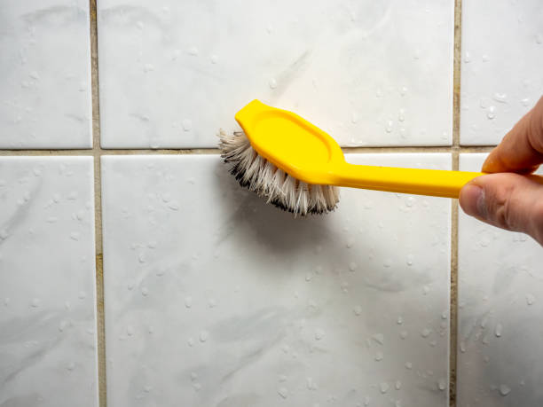 Best Bathroom Mold Remediation in Hazelwood, MO