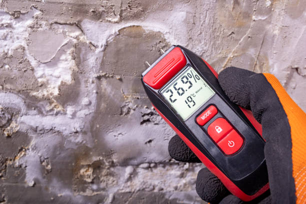 Best HVAC Mold Remediation in Hazelwood, MO