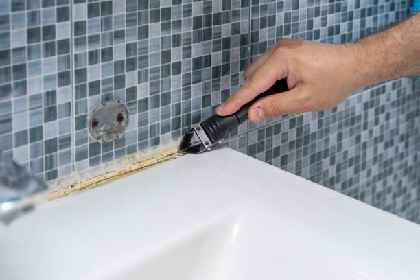 Best Bathroom Mold Remediation in Hazelwood, MO